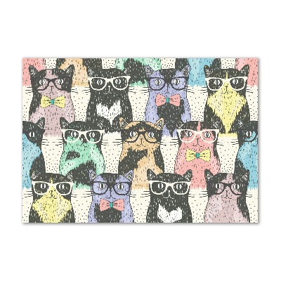 Cuadro decorativo de vidrio para salón horizontal Gatos con gafas