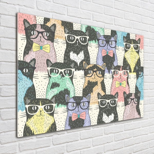 Cuadro decorativo de vidrio para salón horizontal Gatos con gafas