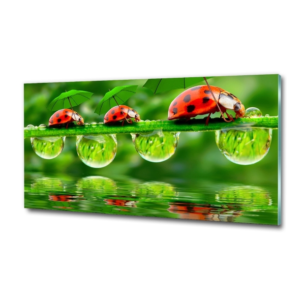 Cuadro decorativo de vidrio para salón horizontal Paraguas de mariquita