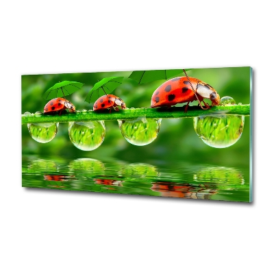 Cuadro decorativo de vidrio para salón horizontal Paraguas de mariquita