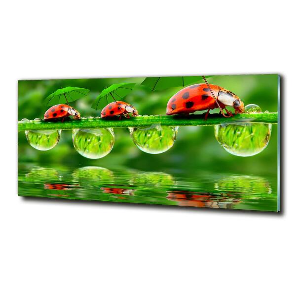 Cuadro decorativo de vidrio para salón horizontal Paraguas de mariquita