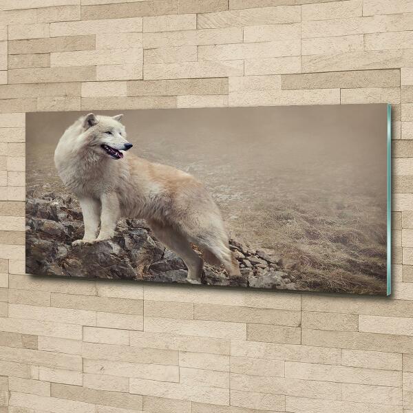 Foto en cristal de alta calidad con impresión uv horizontal Lobo blanco en una roca