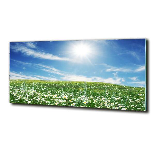 Cuadro de cristal templado moderno horizontal Prado