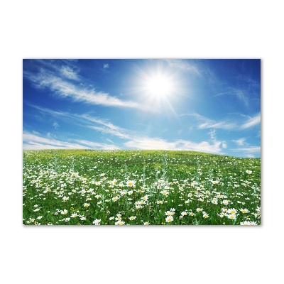 Cuadro de cristal templado moderno horizontal Prado