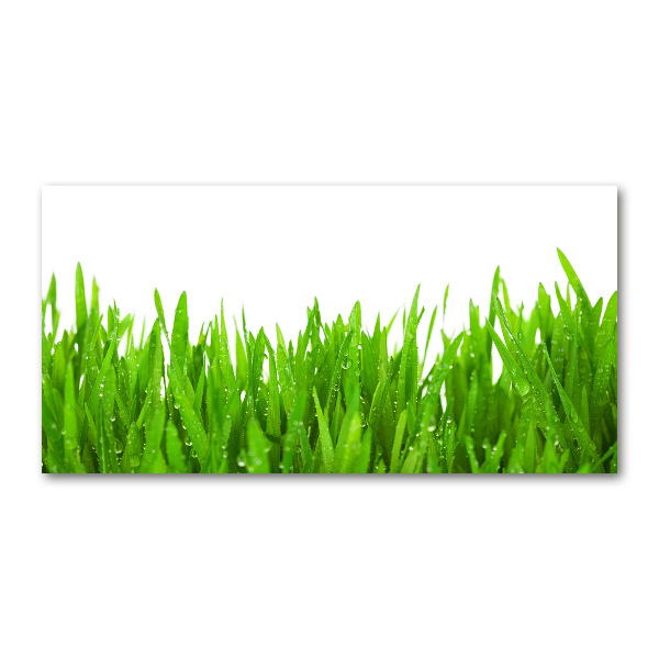 Cuadro decorativo de vidrio para salón horizontal Césped