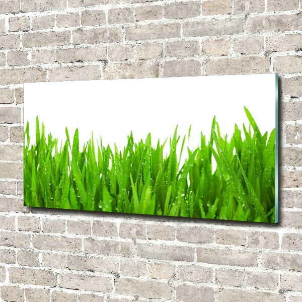 Cuadro decorativo de vidrio para salón horizontal Césped
