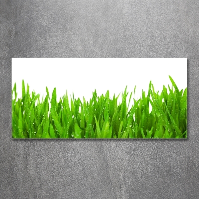 Cuadro decorativo de vidrio para salón horizontal Césped