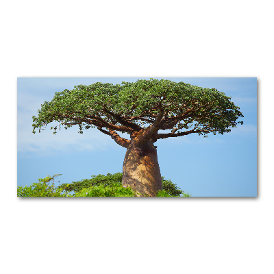 Foto obraz zdjęcie szkło hartowane Baobab