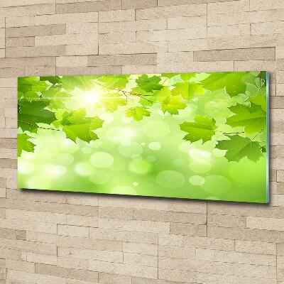 Cuadro de cristal templado moderno horizontal hojas de castaño de Indias