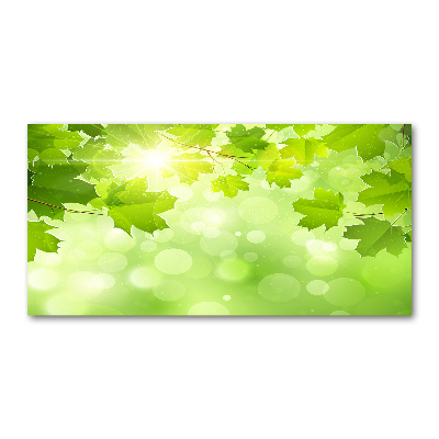 Cuadro de cristal templado moderno horizontal hojas de castaño de Indias