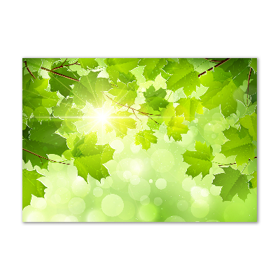 Cuadro de cristal templado moderno horizontal hojas de castaño de Indias