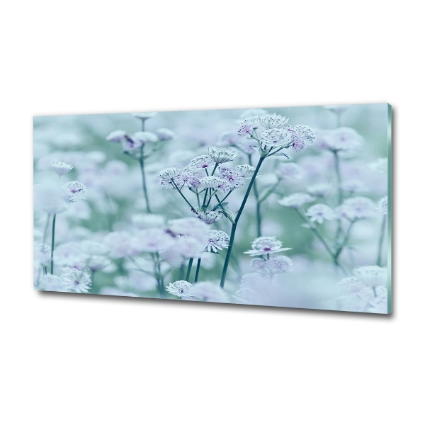 Cuadro decorativo de vidrio para salón horizontal Mantlewort mayor