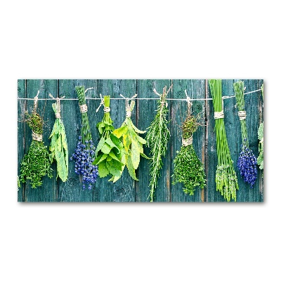 Cuadro decorativo de vidrio para salón horizontal Hierbas en una cuerda