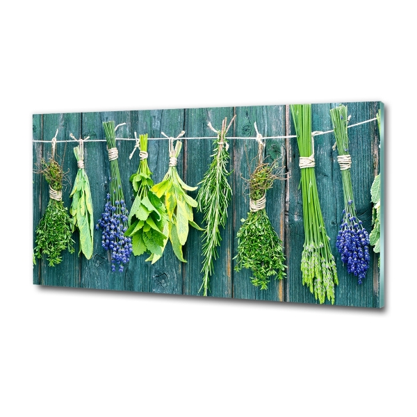 Cuadro decorativo de vidrio para salón horizontal Hierbas en una cuerda