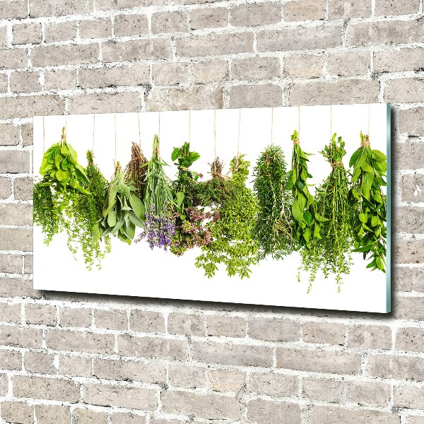 Impresión en cristal con acabado brillante horizontal Hierbas en una cuerda