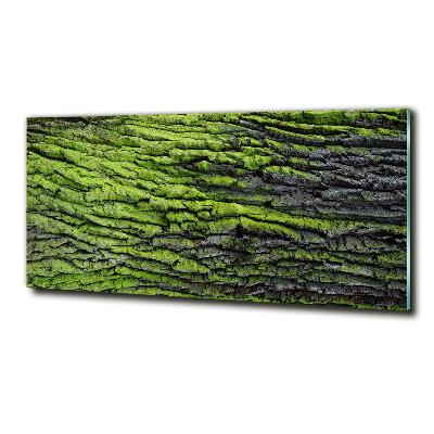 Cuadro de cristal templado moderno horizontal corteza de árbol
