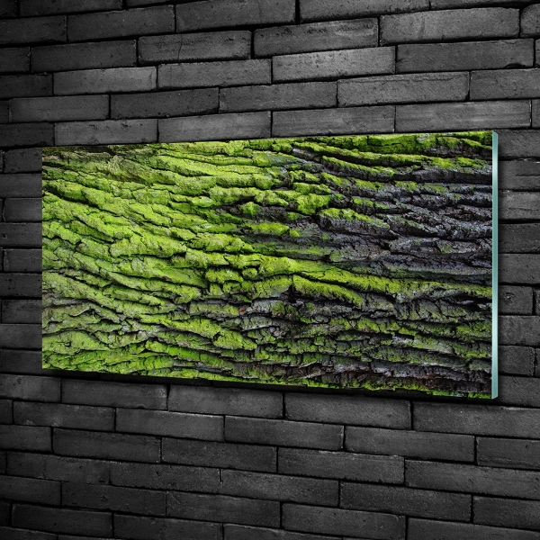 Cuadro de cristal templado moderno horizontal corteza de árbol