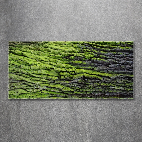 Foto obraz szkło hartowane Kora drzewa