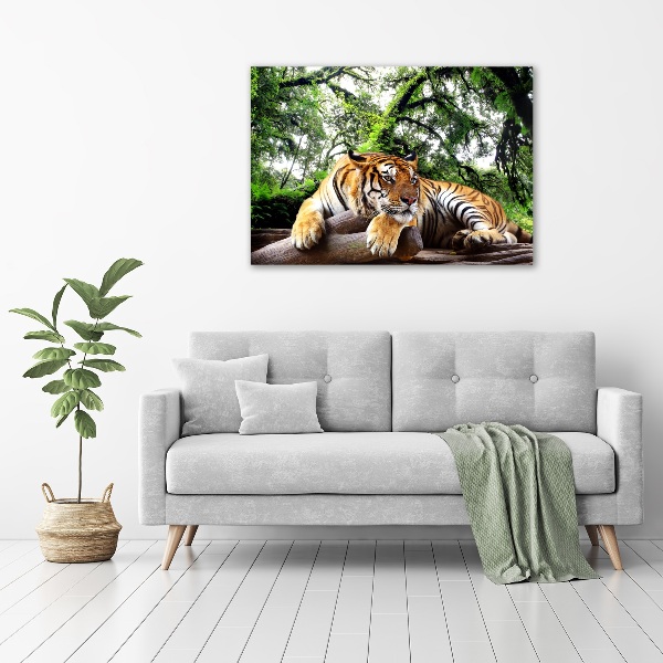 Foto en cristal de alta calidad con impresión uv horizontal Tigre en una roca