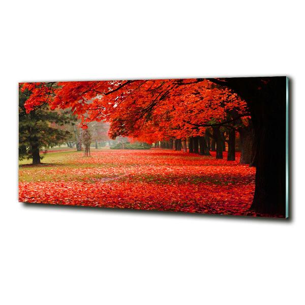 Cuadro decorativo de vidrio para salón horizontal Árboles en otoño