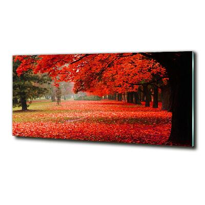 Cuadro decorativo de vidrio para salón horizontal Árboles en otoño