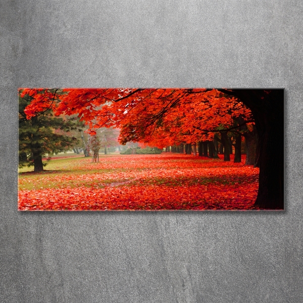 Cuadro decorativo de vidrio para salón horizontal Árboles en otoño