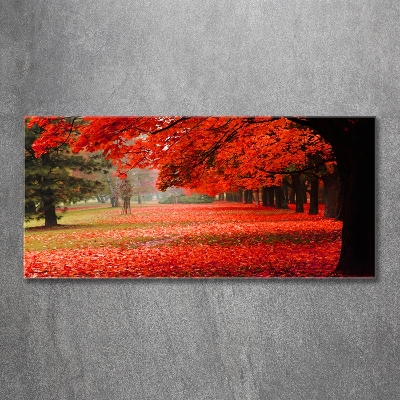 Cuadro decorativo de vidrio para salón horizontal Árboles en otoño