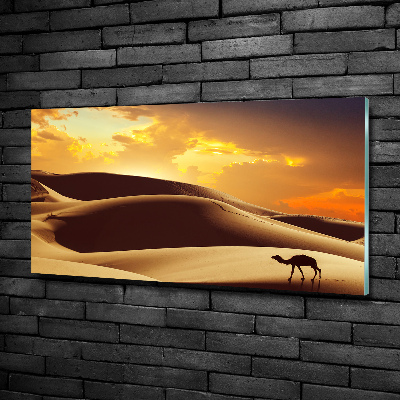 Impresión en cristal con acabado brillante horizontal Camello del Sahara