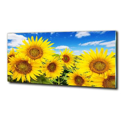Impresión en cristal con acabado brillante horizontal Girasoles