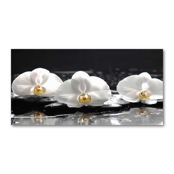 Cuadro decorativo de vidrio para salón horizontal Orquídea