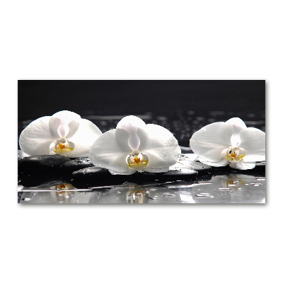 Cuadro decorativo de vidrio para salón horizontal Orquídea