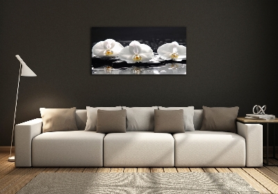 Cuadro decorativo de vidrio para salón horizontal Orquídea