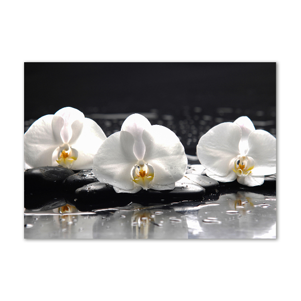 Cuadro decorativo de vidrio para salón horizontal Orquídea