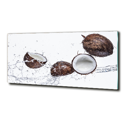 Cuadro de cristal templado moderno horizontal Coco con agua