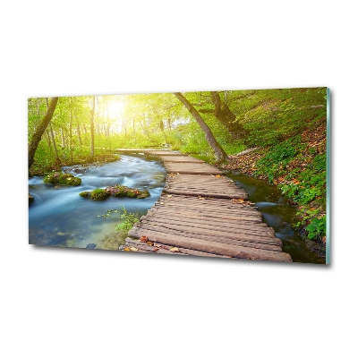 Cuadro decorativo de vidrio para salón horizontal Camino en el bosque