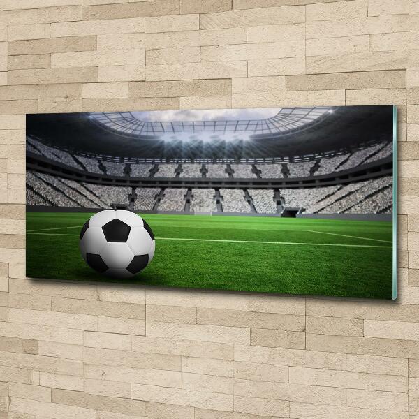 Cuadro de cristal templado moderno horizontal Pelota en el estadio