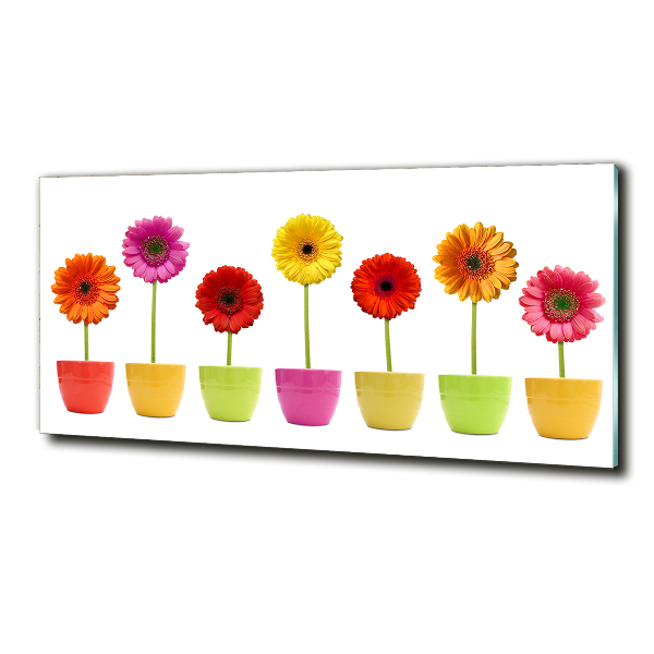 Cuadro de cristal templado moderno horizontal Gerberas de colores