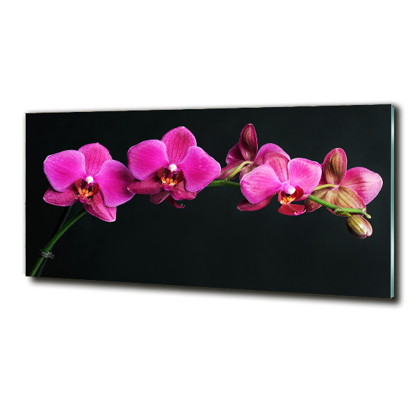 Cuadro decorativo de vidrio para salón horizontal Orquídea