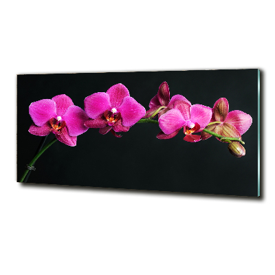 Cuadro decorativo de vidrio para salón horizontal Orquídea
