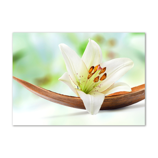 Cuadro decorativo de vidrio para salón horizontal Lirio