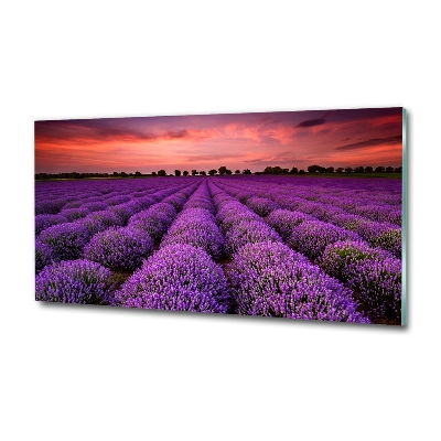 Cuadro decorativo de vidrio para salón horizontal campo de lavanda