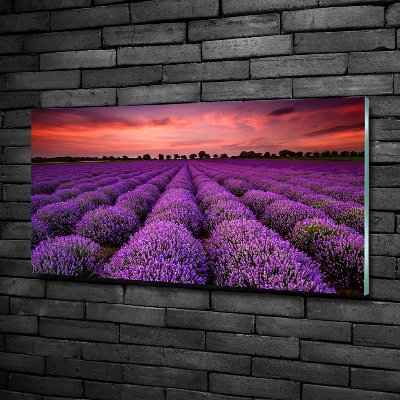 Cuadro decorativo de vidrio para salón horizontal campo de lavanda