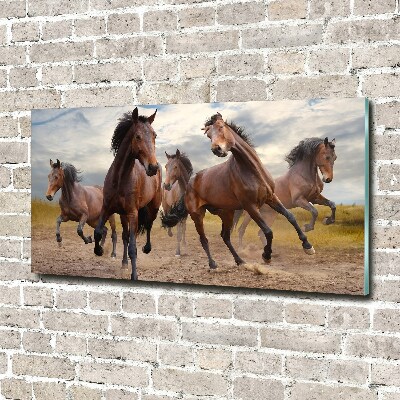 Foto-obraz szkło hartowane Pięć koni