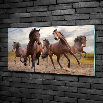 Impresión en cristal con acabado brillante horizontal Cinco caballos