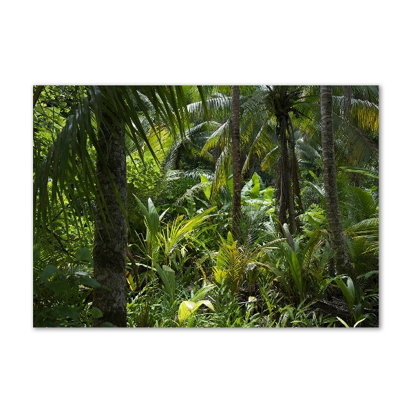 Cuadro decorativo de vidrio para salón horizontal Bosque tropical