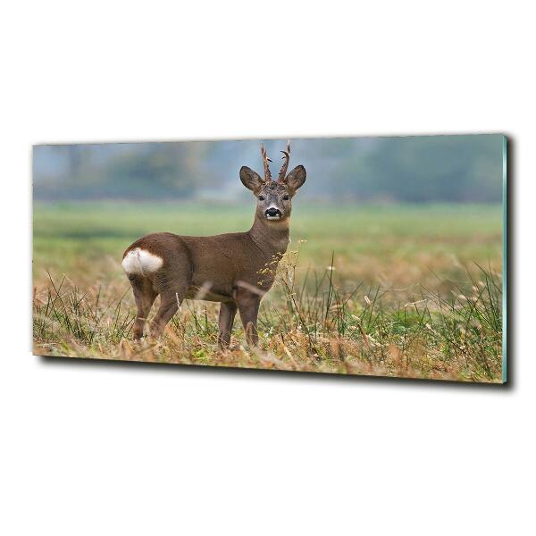 Cuadro decorativo de vidrio para salón horizontal Hueva