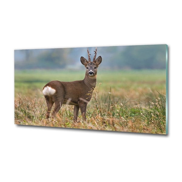 Cuadro decorativo de vidrio para salón horizontal Hueva