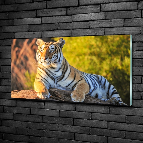 Foto en cristal de alta calidad con impresión uv horizontal Retrato de un tigre