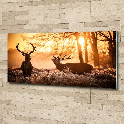 Cuadro de cristal templado moderno horizontal Amanecer de ciervos