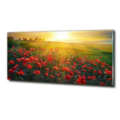 Impresión en cristal con acabado brillante horizontal Campo de amapolas